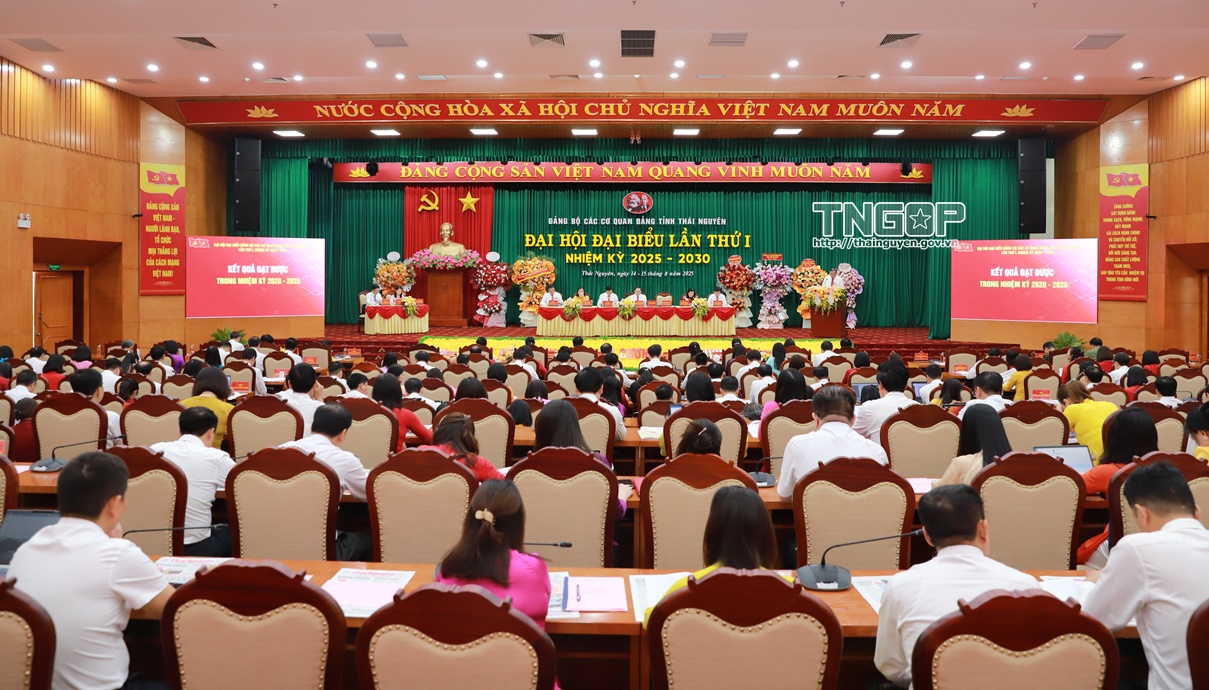 Đảng ủy các cơ quan Đảng tỉnh: Tiếp tục khẳng định vai trò hạt nhân chính trị, trung tâm đoàn kết - trí tuệ - sáng tạo